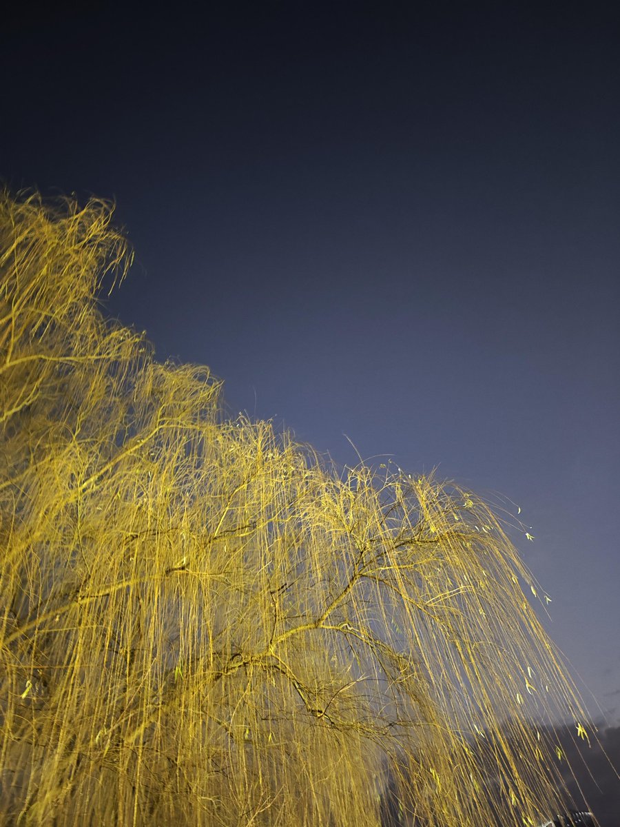 Zaira M. tweet media