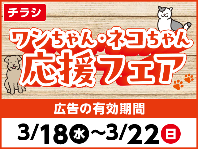 ワンちゃん🐶ネコちゃん🐱 📣応援フェア🏴 ＼ 3/18(水)からのチラシを