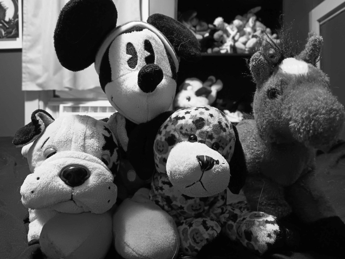 Kage Wolf 🔜LVFC2026 tweet media