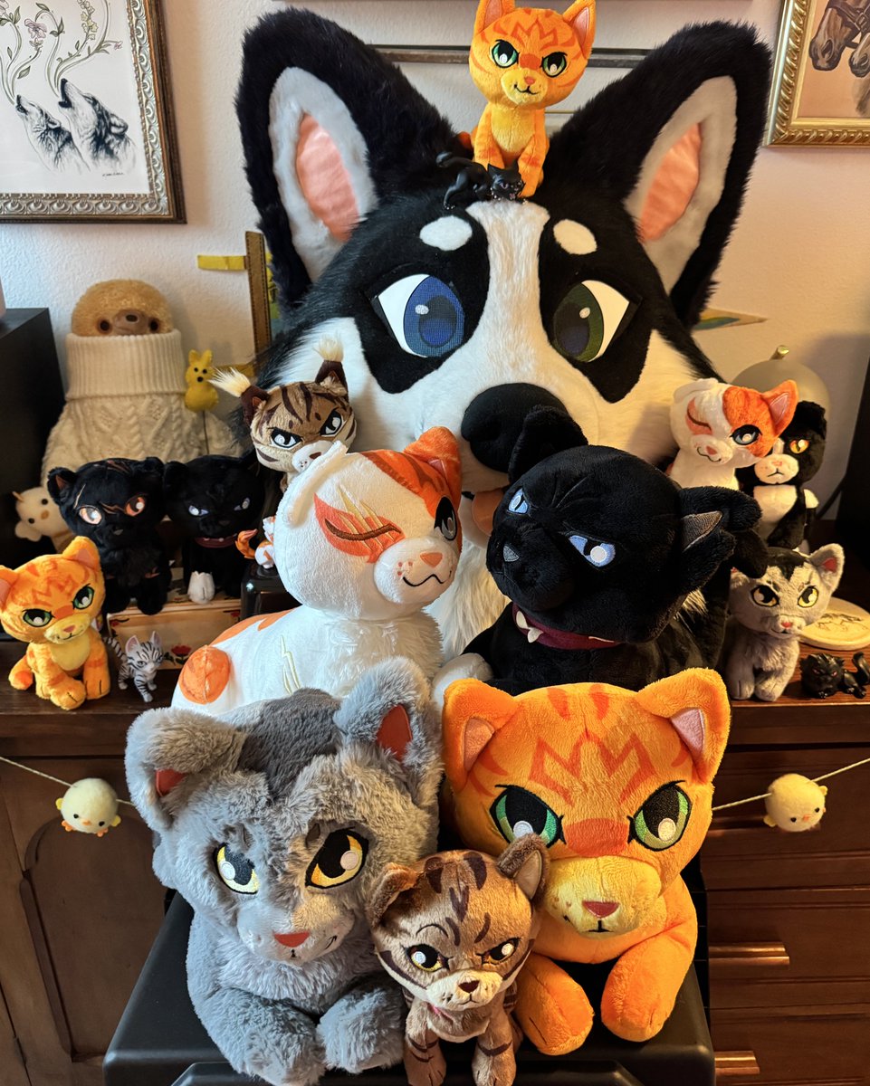 Aspen♥︎ tweet media