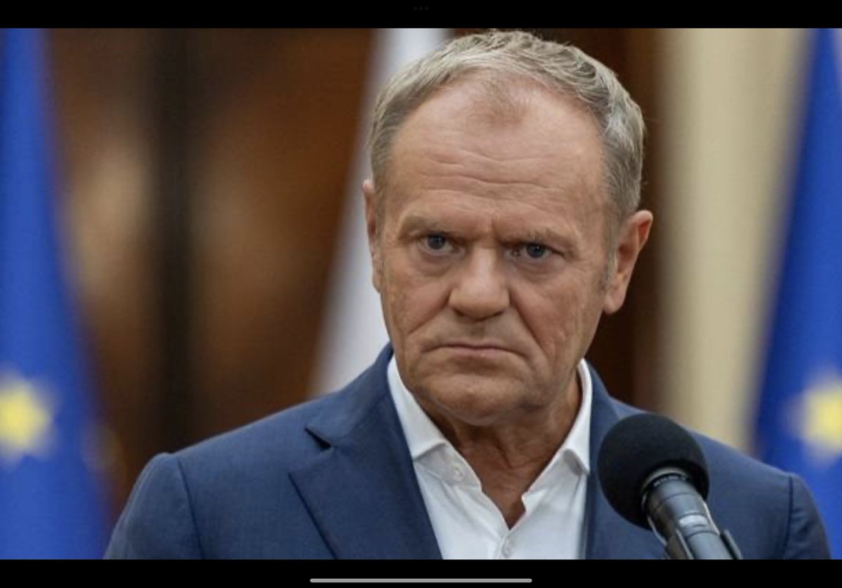 Korina Graf tweet media