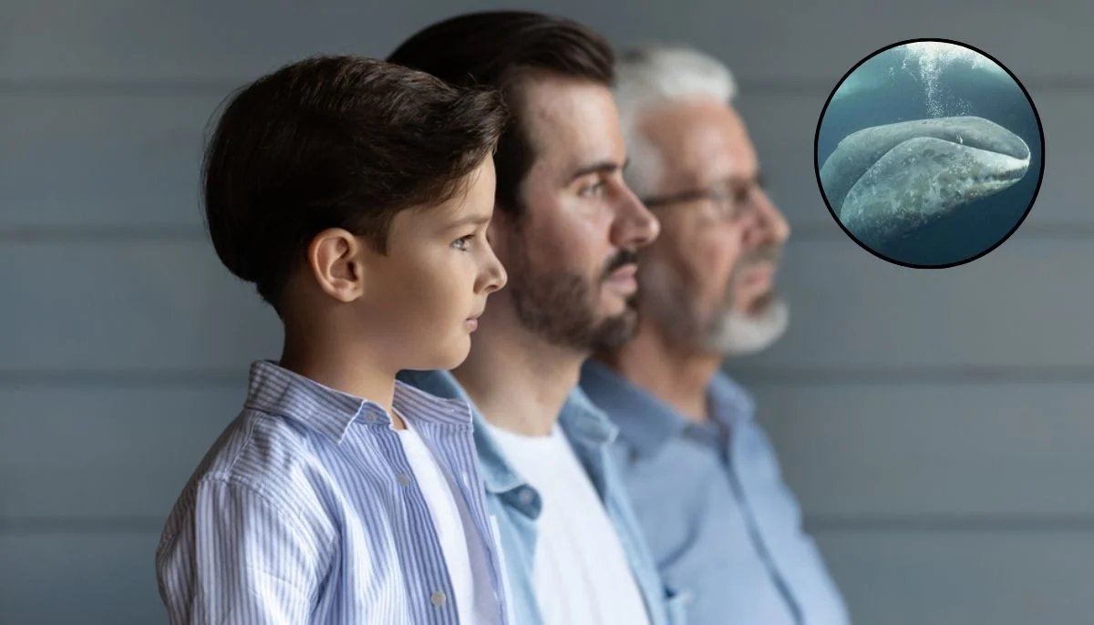 Curiosity tweet media