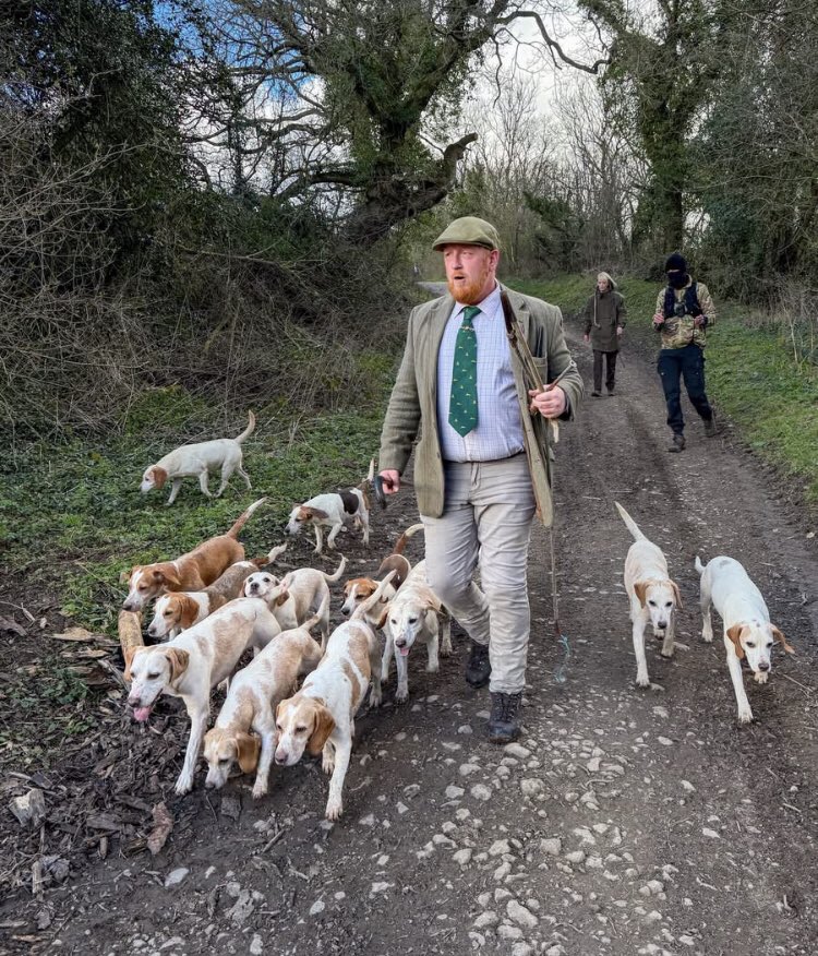 Action Against Hare Hunting tweet media