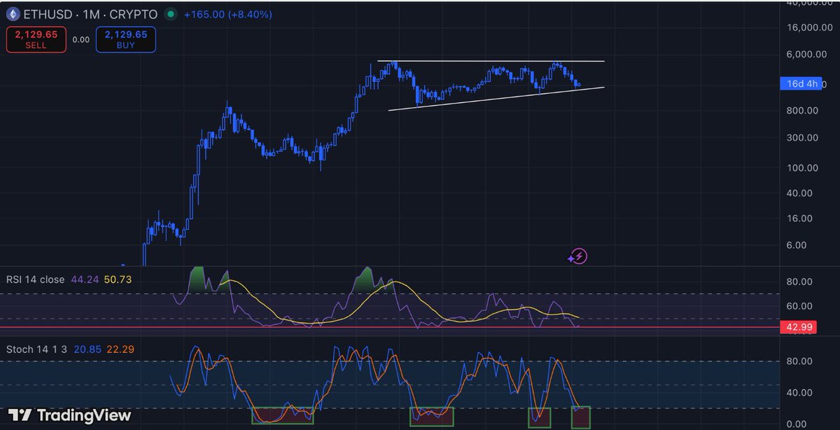 MrParaBULLic tweet media