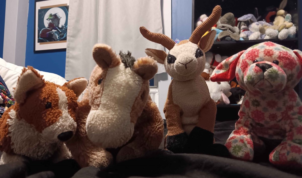 Kage Wolf 🔜LVFC2026 tweet media