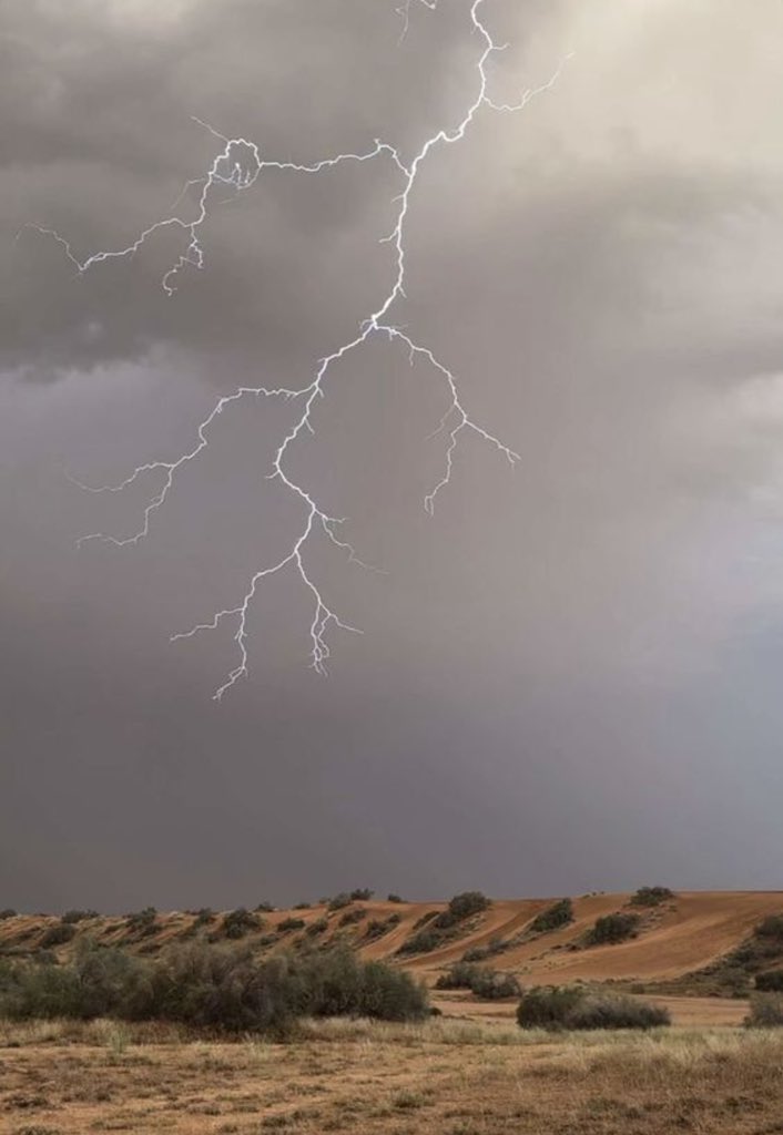 معكاز شعر tweet media