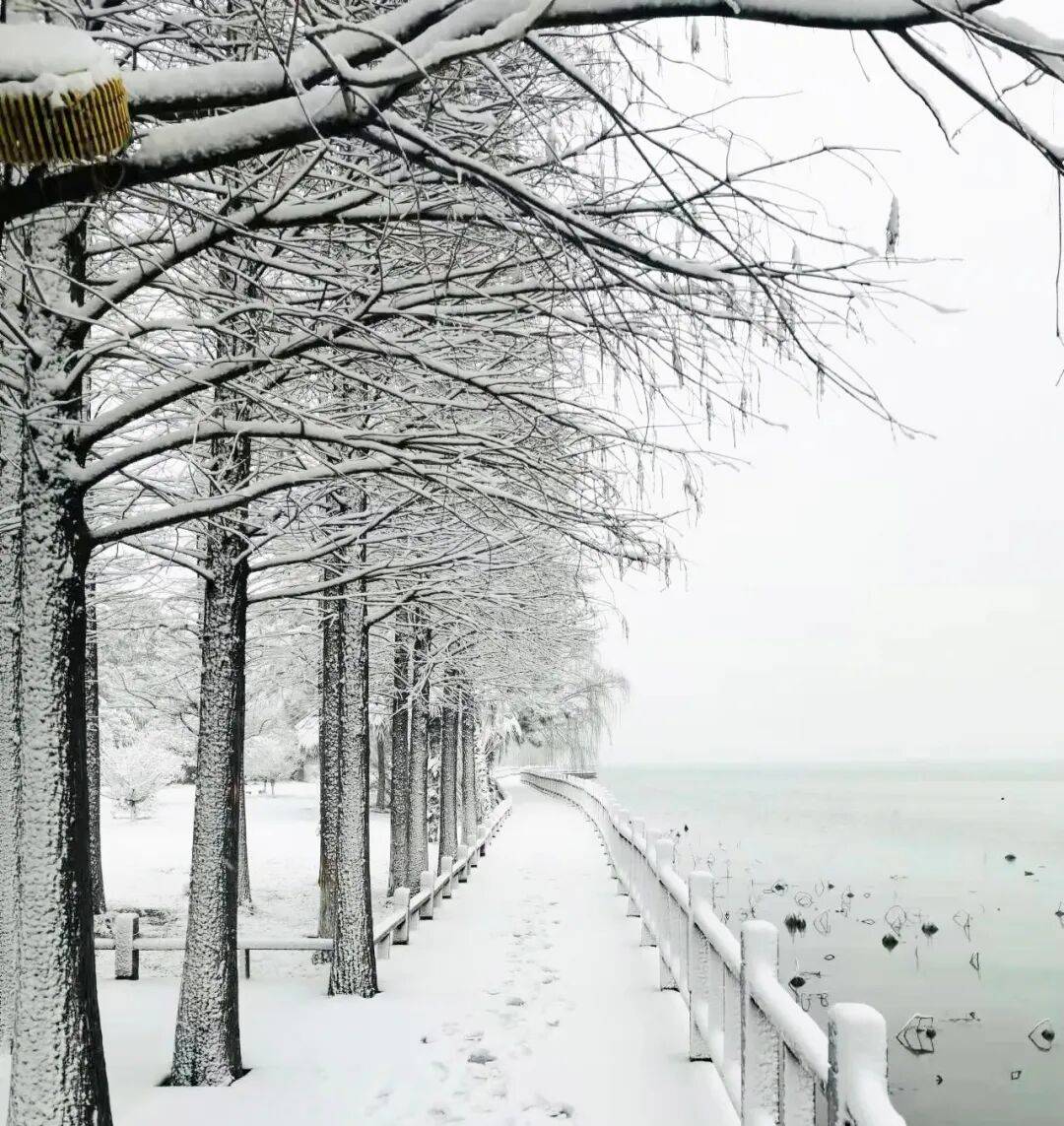 Sanket Ritaban tweet media