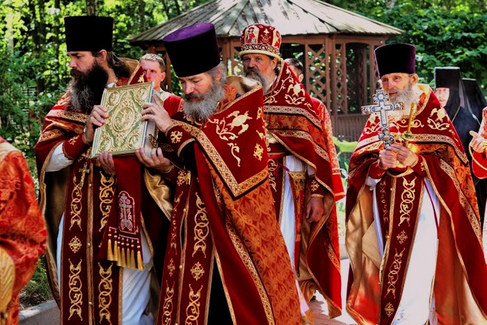 THE ORTHOCHAT tweet media