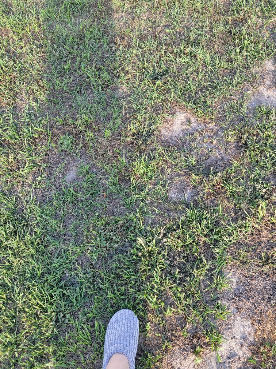 Sassafrass84 tweet media