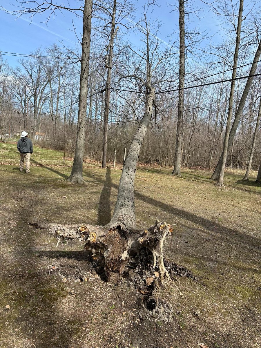 AES Indiana tweet media