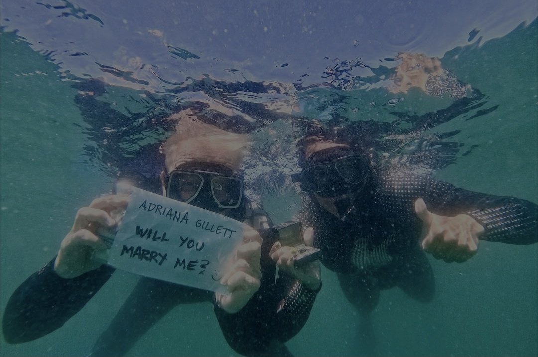 Tobaby Forge tweet media