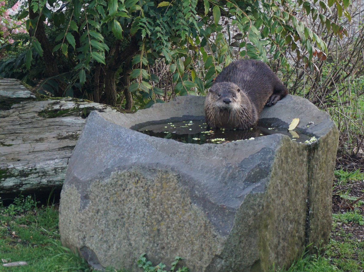 Fendel de la Créme tweet media