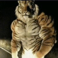 Aaron Ladd tweet media