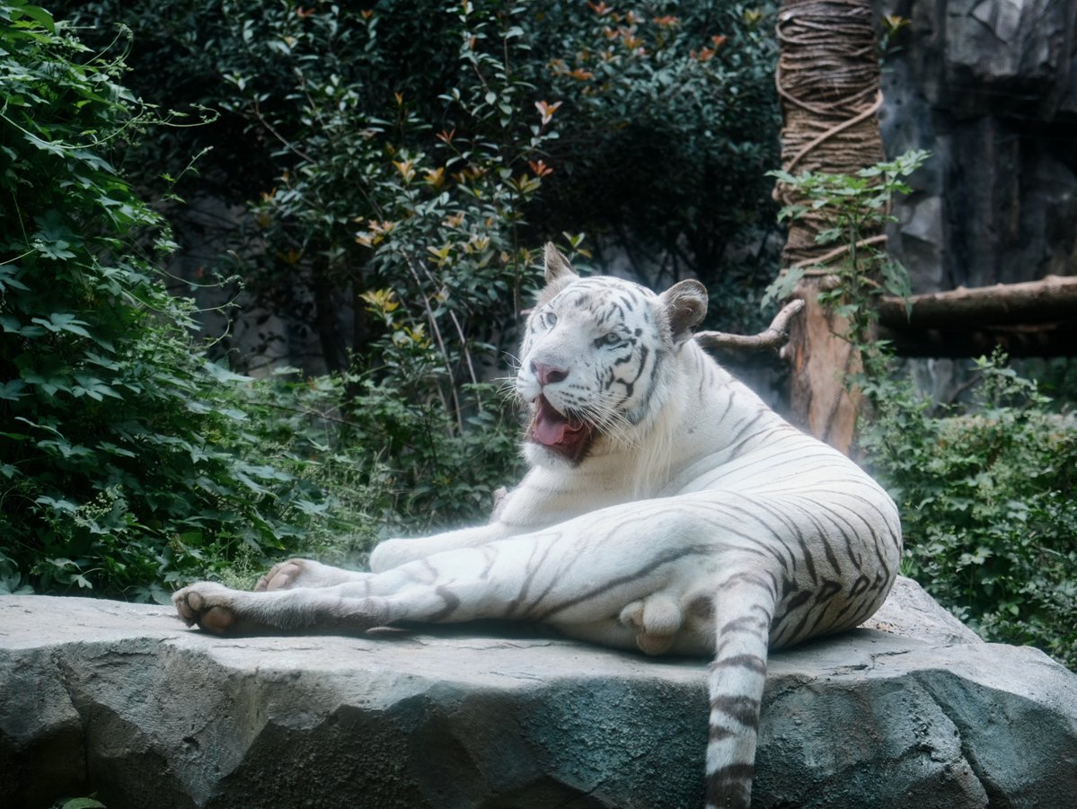 Jacob Sharp tweet media