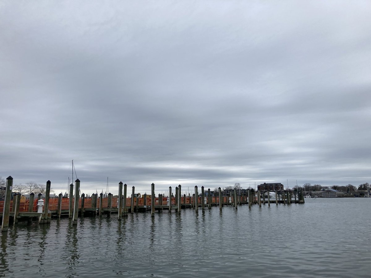 Chris H. Lynn tweet media