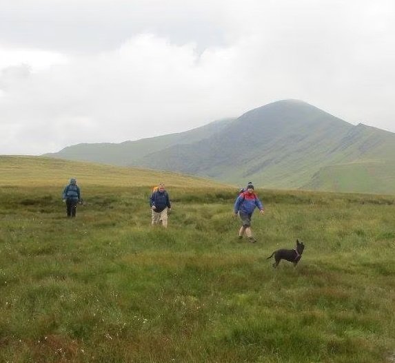 Join me for a very informative and scenic excursion to the Northern Fells of the Lake District on Sunday 10th May. You can now Please visit moorstomountains.co.uk/newlands-round to read more, view some of my photos to get an idea of what to expect and to book spaces.