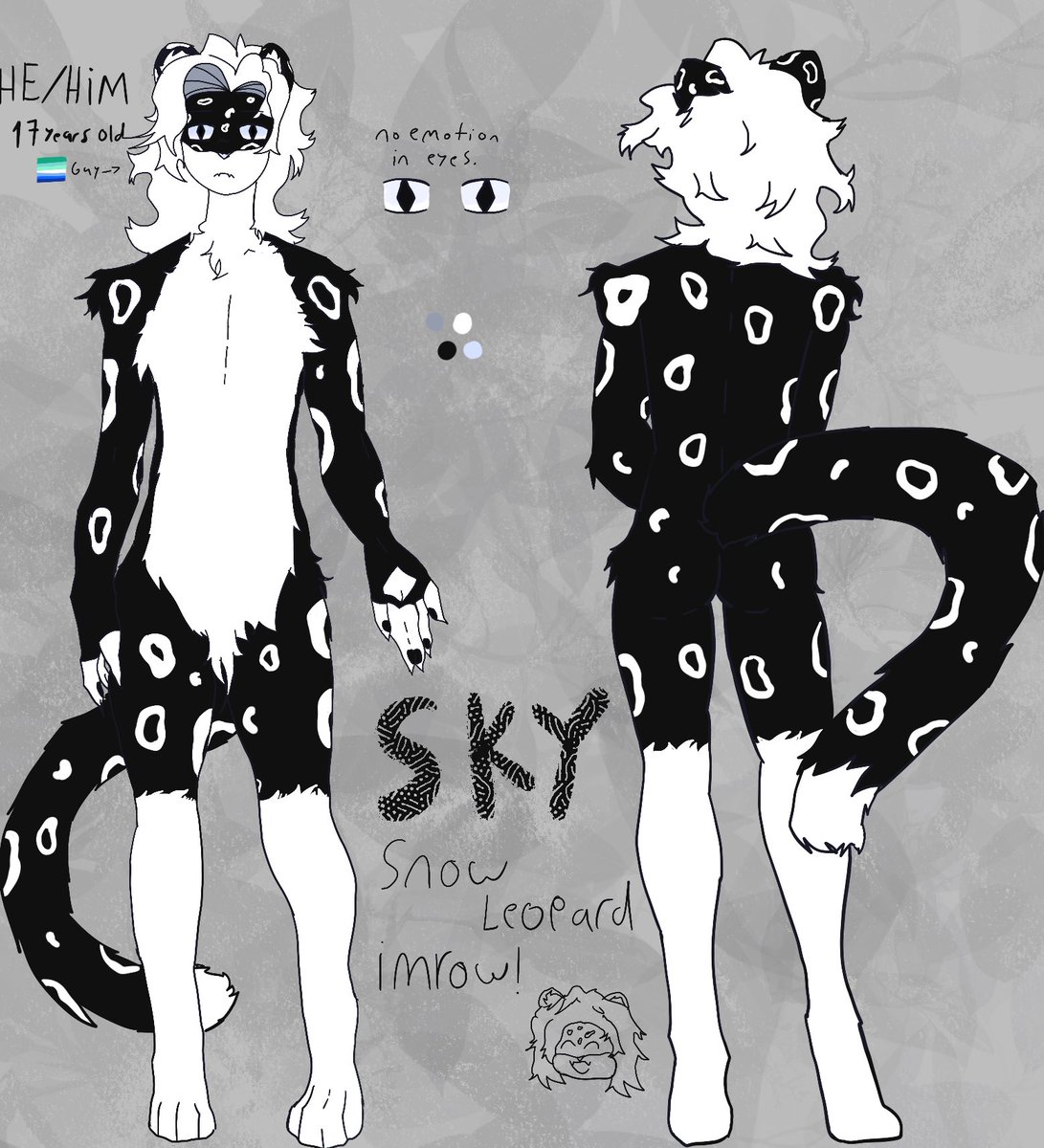 sky tweet media