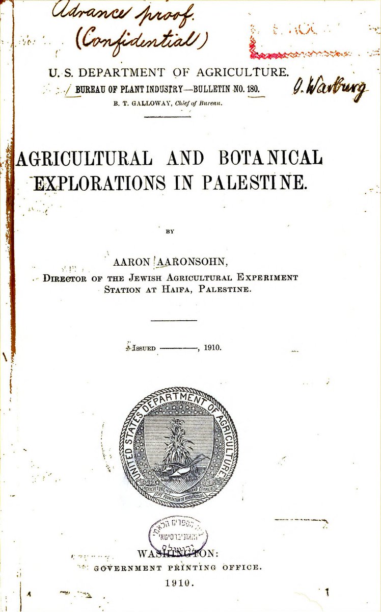 Daf - Kang Cerita, Kang Gambar ✨🕊️💐 tweet media