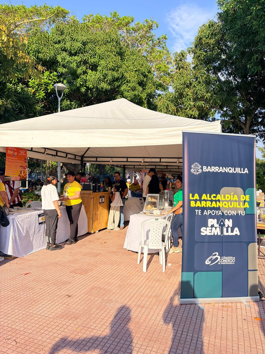 AnaMariaAljure's tweet photo. ✨El talento emprendedor de #Barranquilla brilla.
Todo un exito la primera Feria del programa #PlanSemilla, donde 100 de los 340 beneficiarios (jóvenes, personas con discapacidad y cuidadoras), presentaron sus productos y servicios, gracias a este programa de @alcaldiabquilla y @Camarabaq. Moda, gastronomía, belleza, artesanías y servicios innovadores hicieron parte de esta feria que abre oportunidades, impulsa la inclusión y fortalece el emprendimiento local.
Seguimos apoyando iniciativas que generan autonomía económica y desarrollo para nuestra gente. 🫶🏻🙌🏻