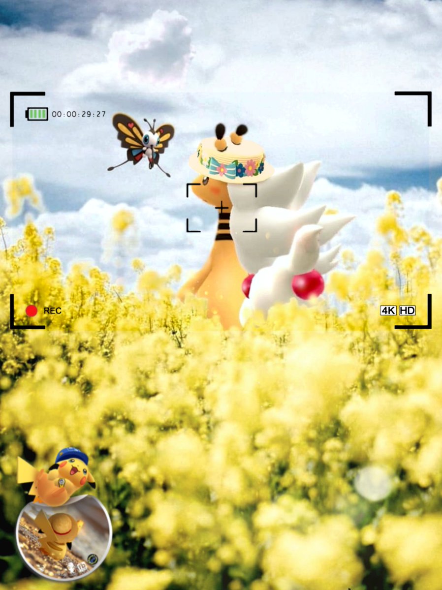 tane_pokego tweet media