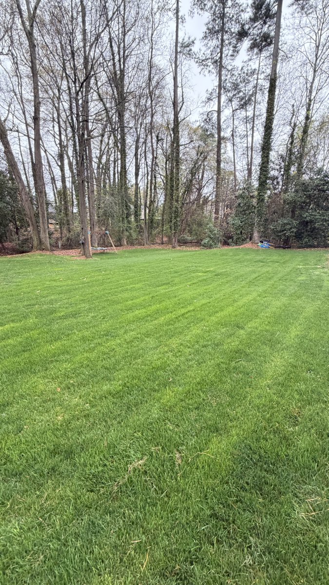 Anthony Raynor tweet media