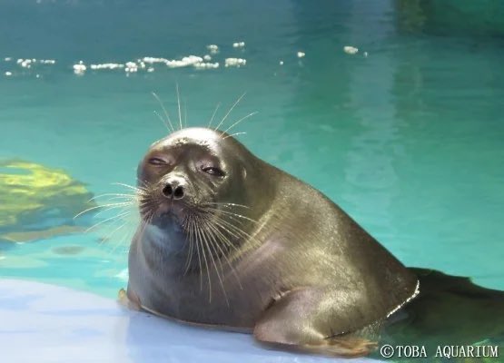 isabella🪼🎏 tweet media