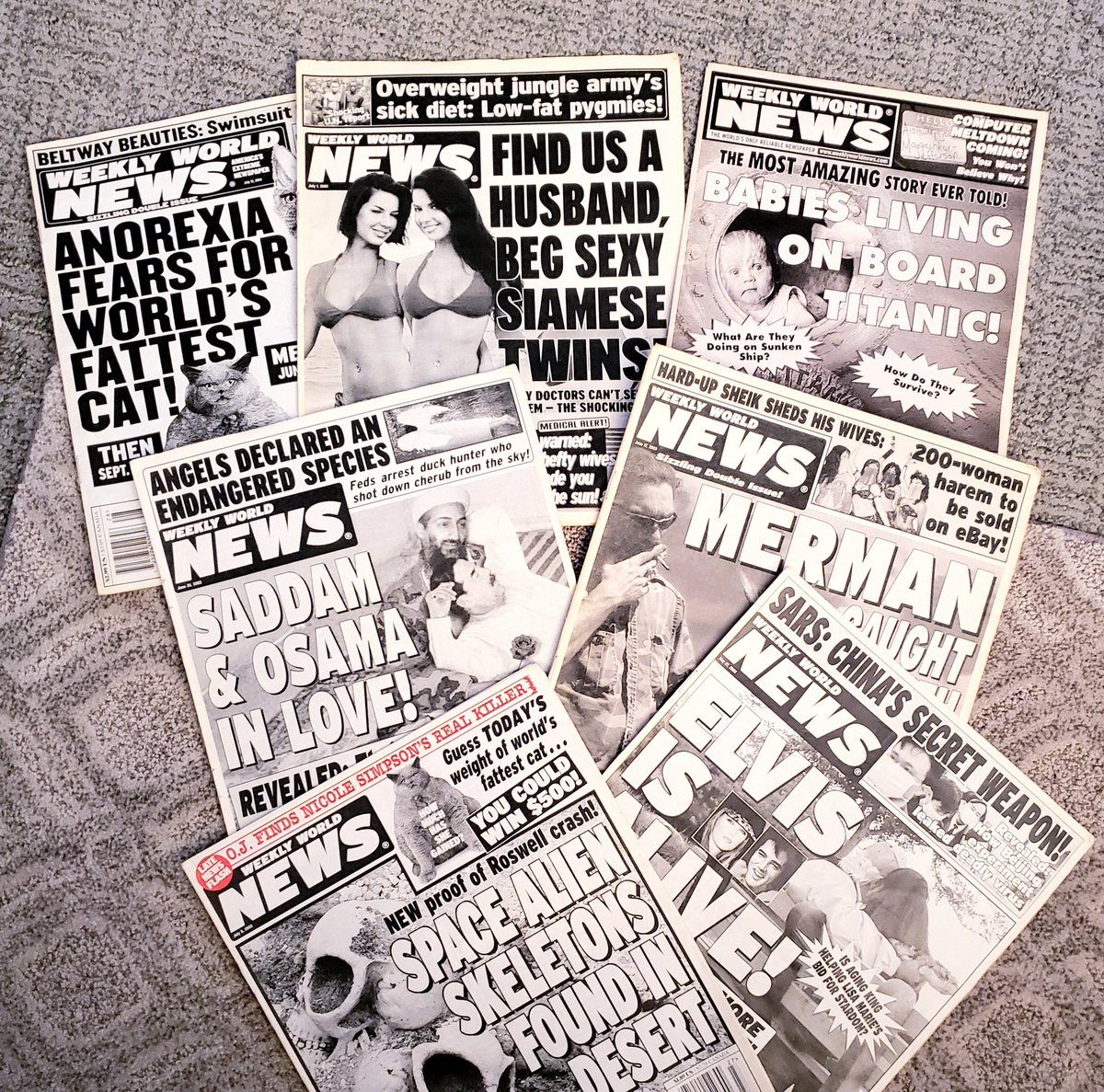 Dick Dangle tweet media