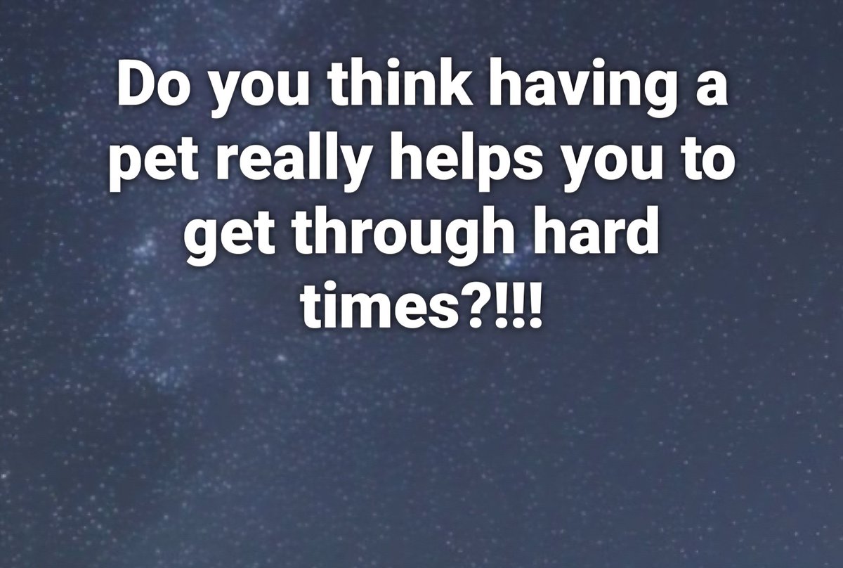 Johnny Cadillac tweet media