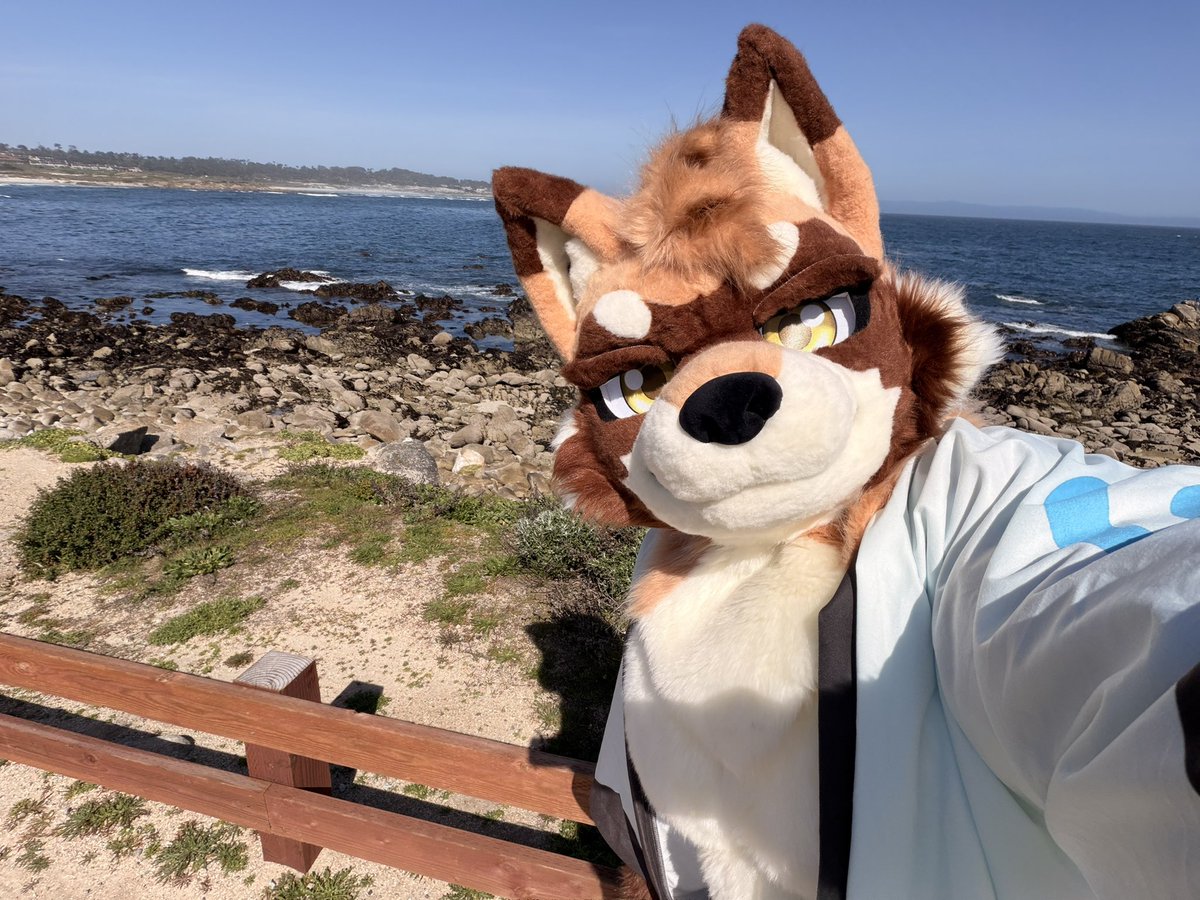 Chung 腸粉🔜🇺🇸Furlingame tweet media