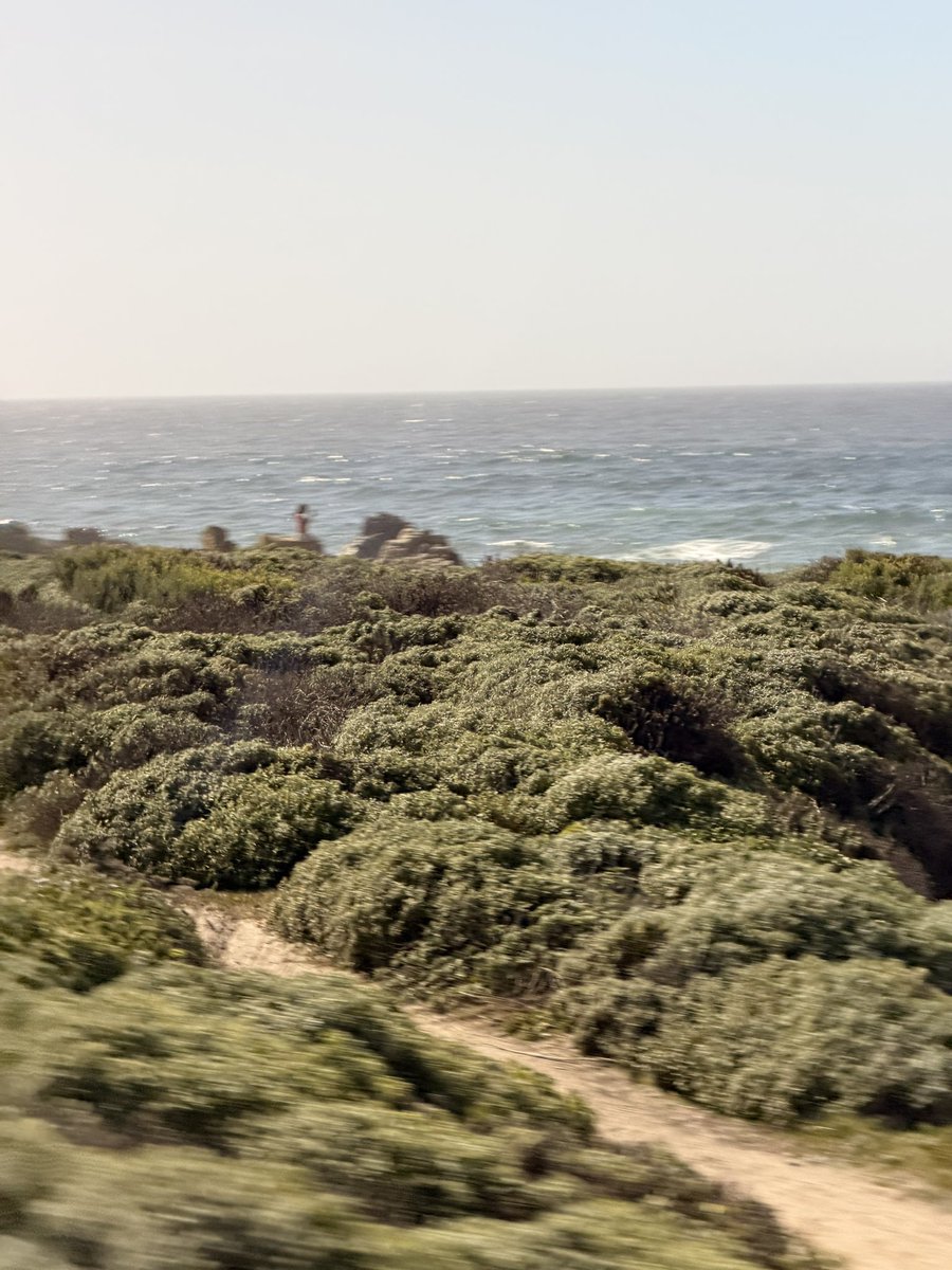 Chung 腸粉🔜🇺🇸Furlingame tweet media