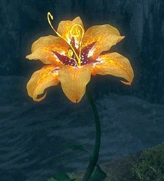 Enrolados Brasil tweet media