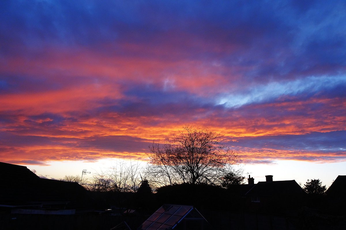 Sue Pleb Leam tweet media