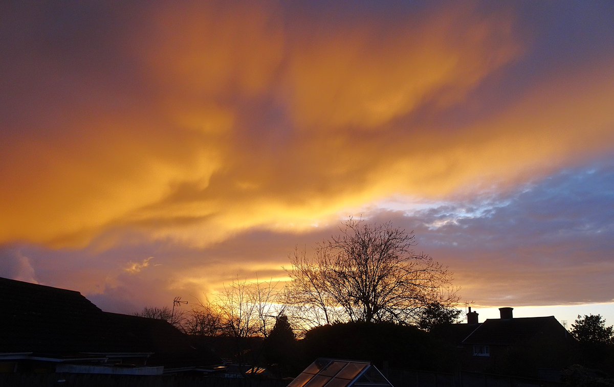 Sue Pleb Leam tweet media