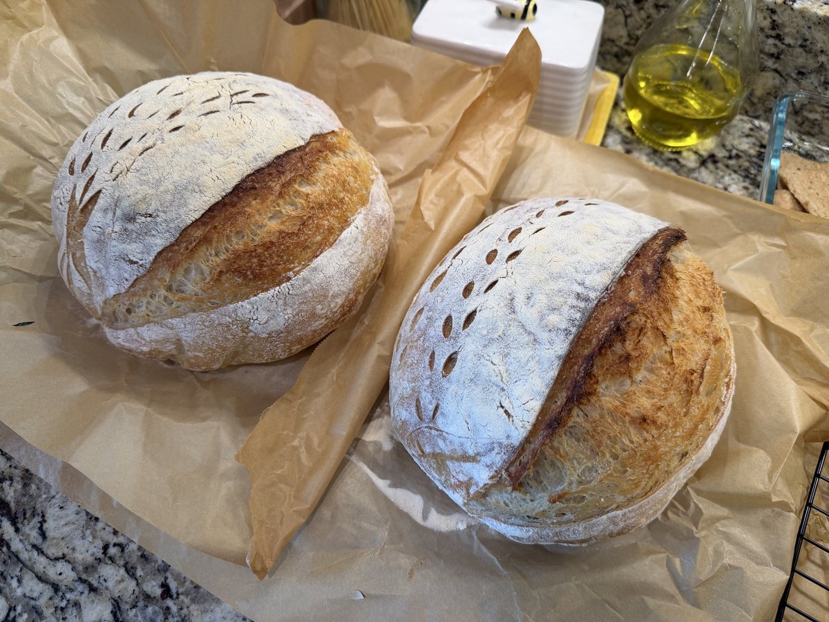 BowTied HomeBaker tweet media