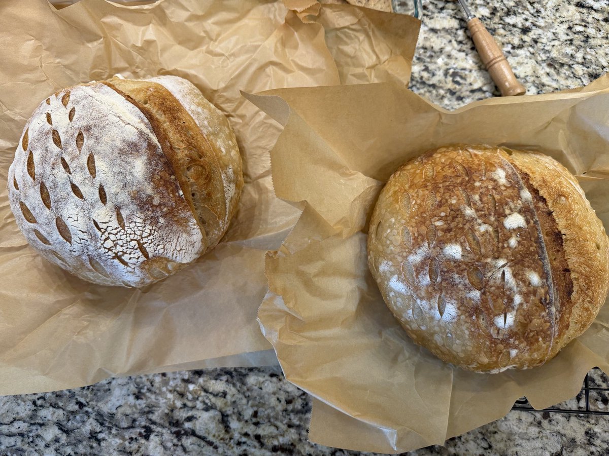 BowTied HomeBaker tweet media