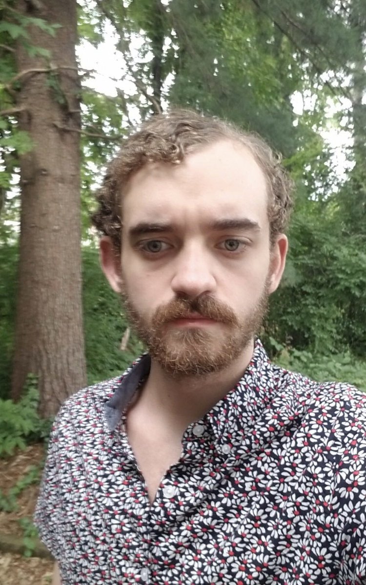Flesh Simulator tweet media