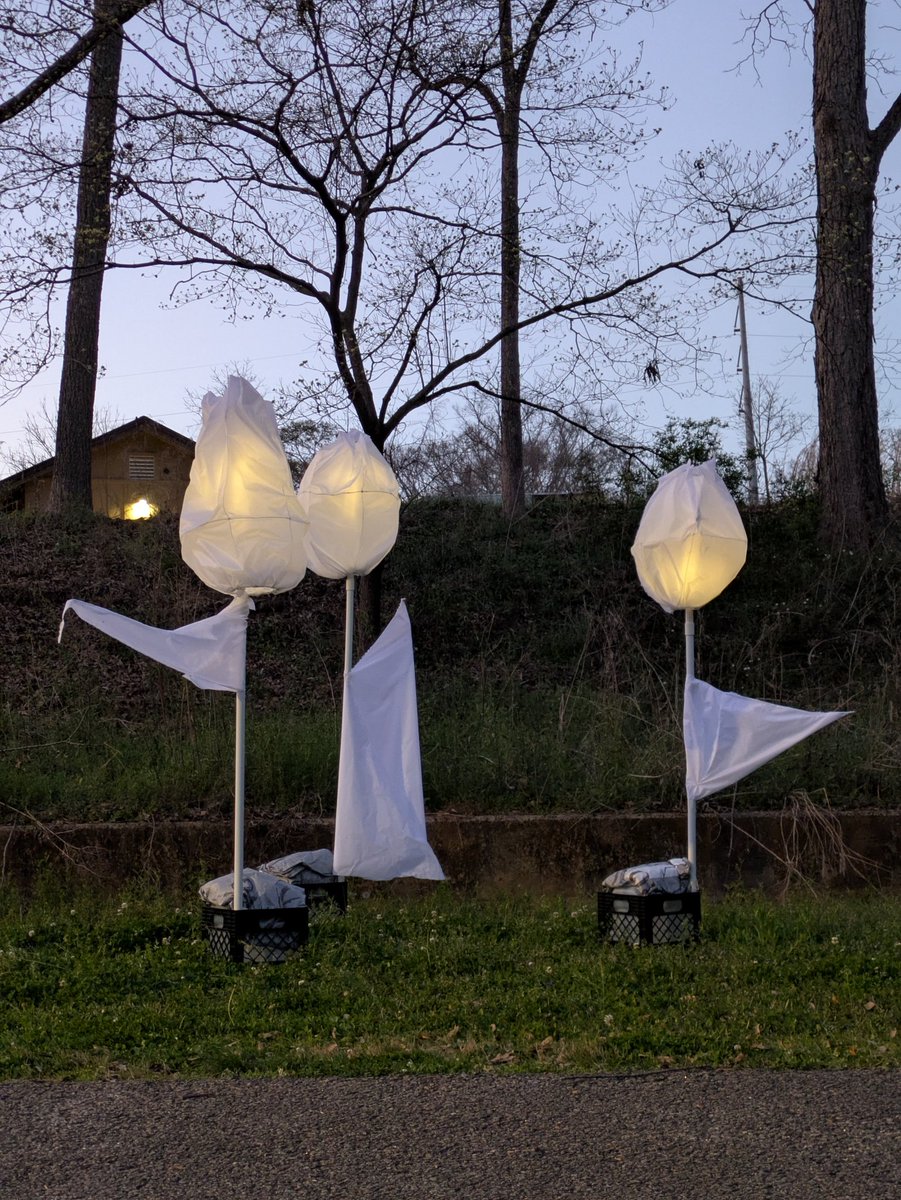 10tinbluebirds's tweet photo. I made a light sculpture for our local Lantern Parade and Festival last night! Maybe next year I can add some augmented reality to the scene. https://t.co/ekjfVNVxk2