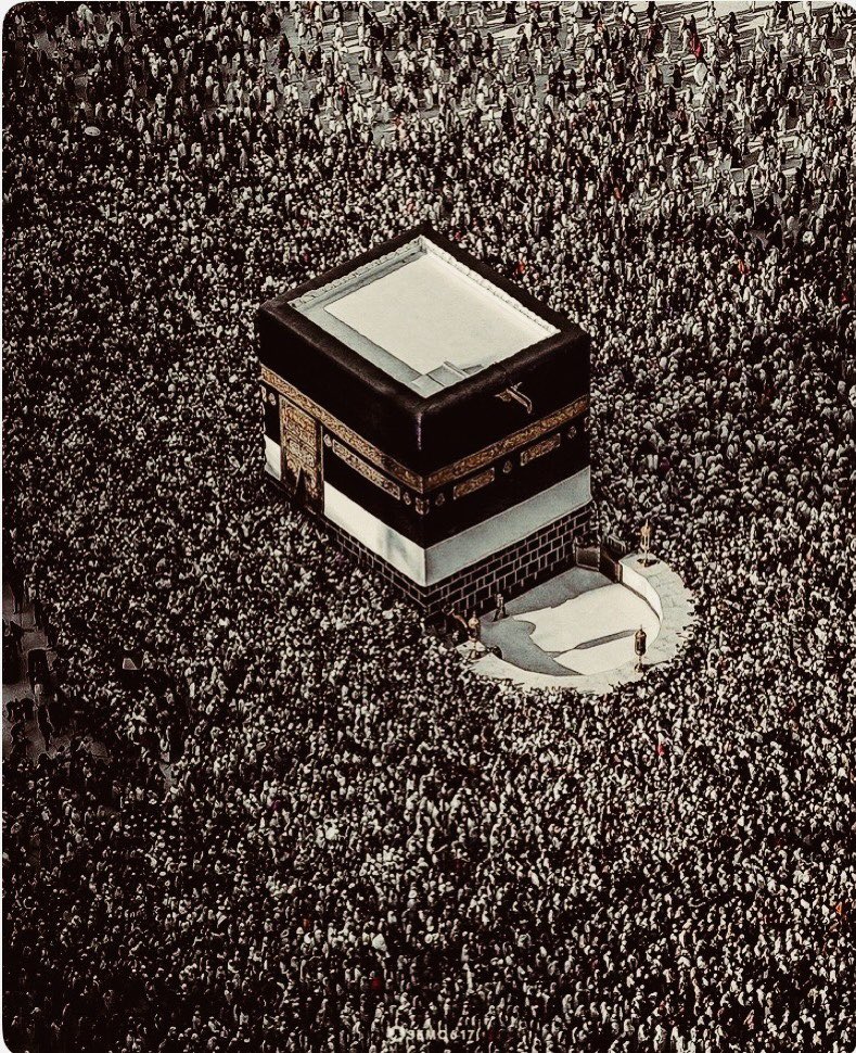 ‏الكايد tweet media