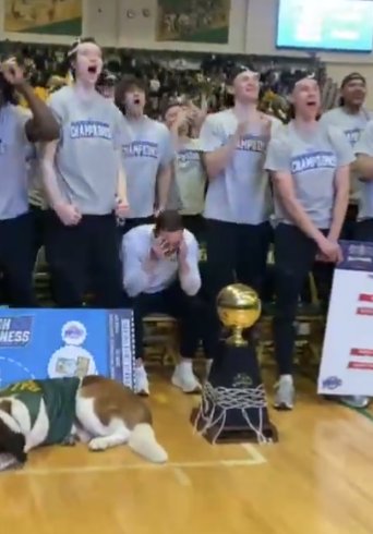 Ryan McNaughton M.Ed./M.A.🍊🇺🇲🇮🇪🏴 tweet media