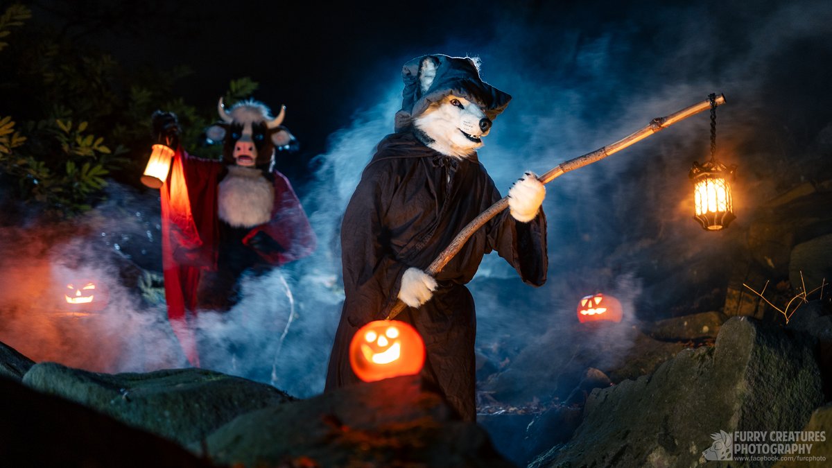 Furry C. Photo tweet media