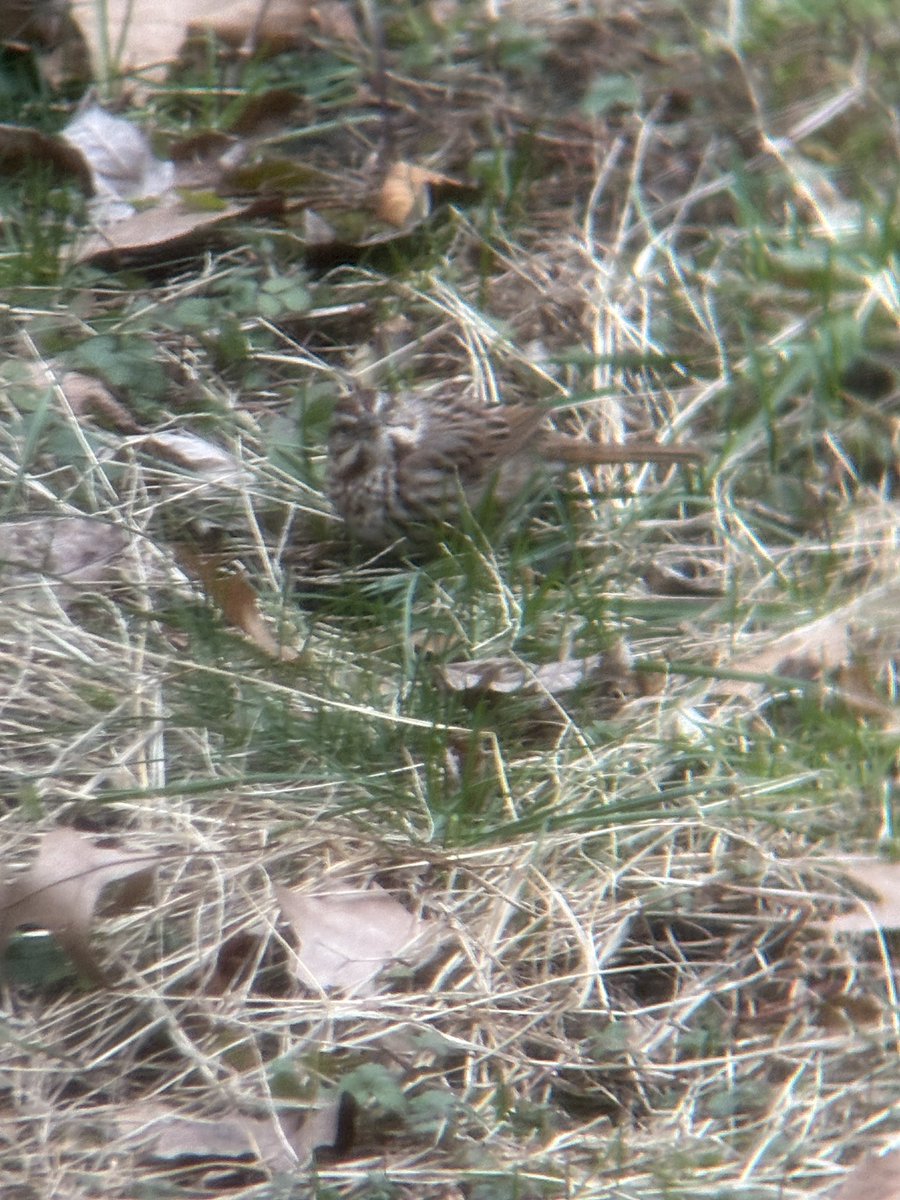 Jeremy Danneman tweet media