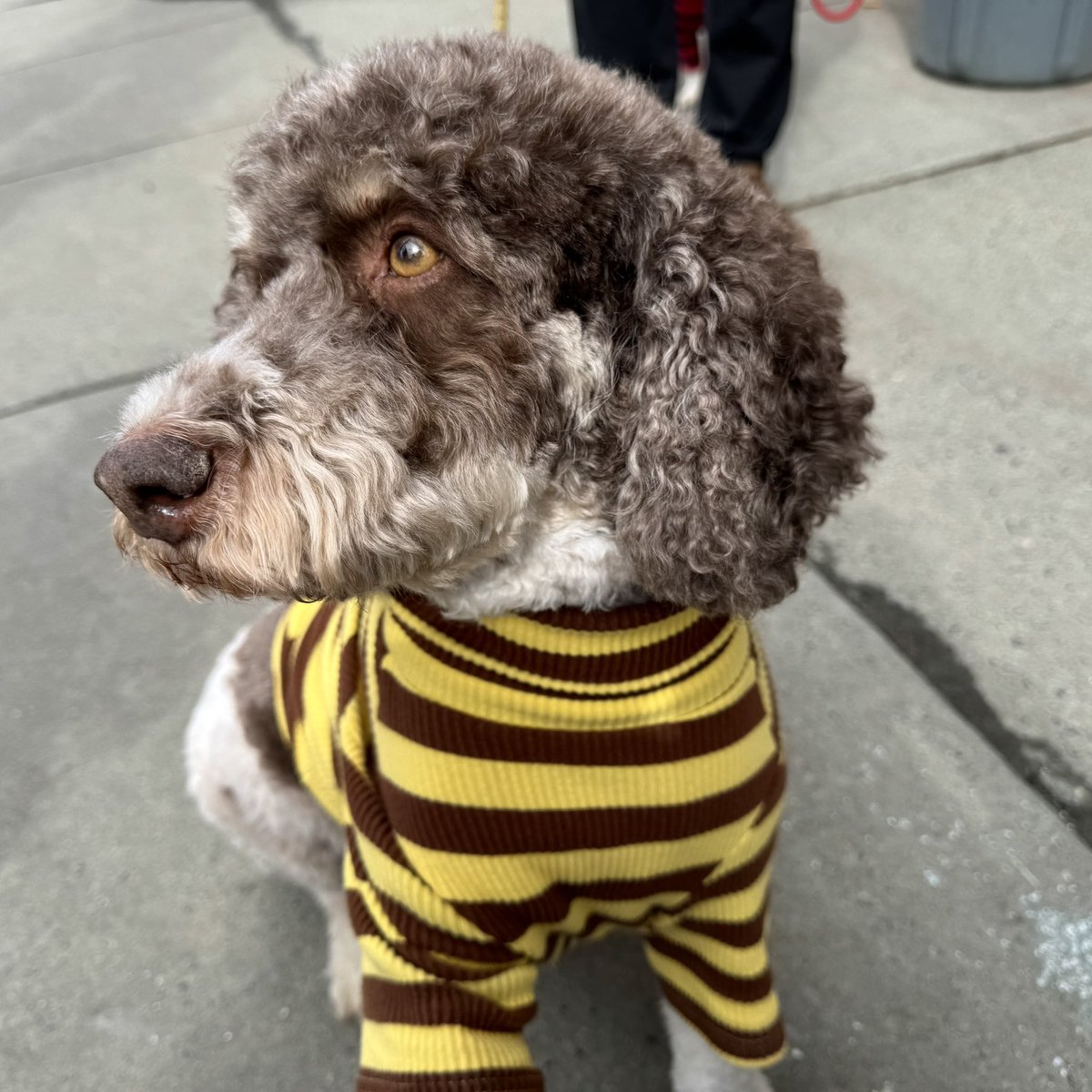 Bryan Marquard tweet media