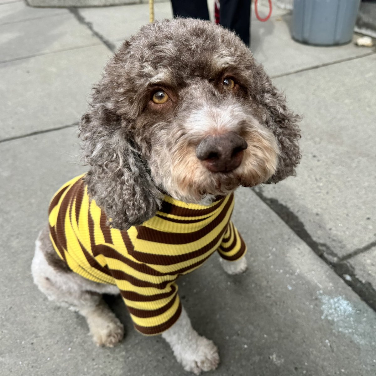 Bryan Marquard tweet media