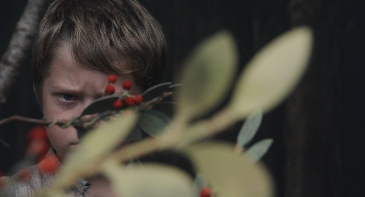 Ronald Perrone tweet media