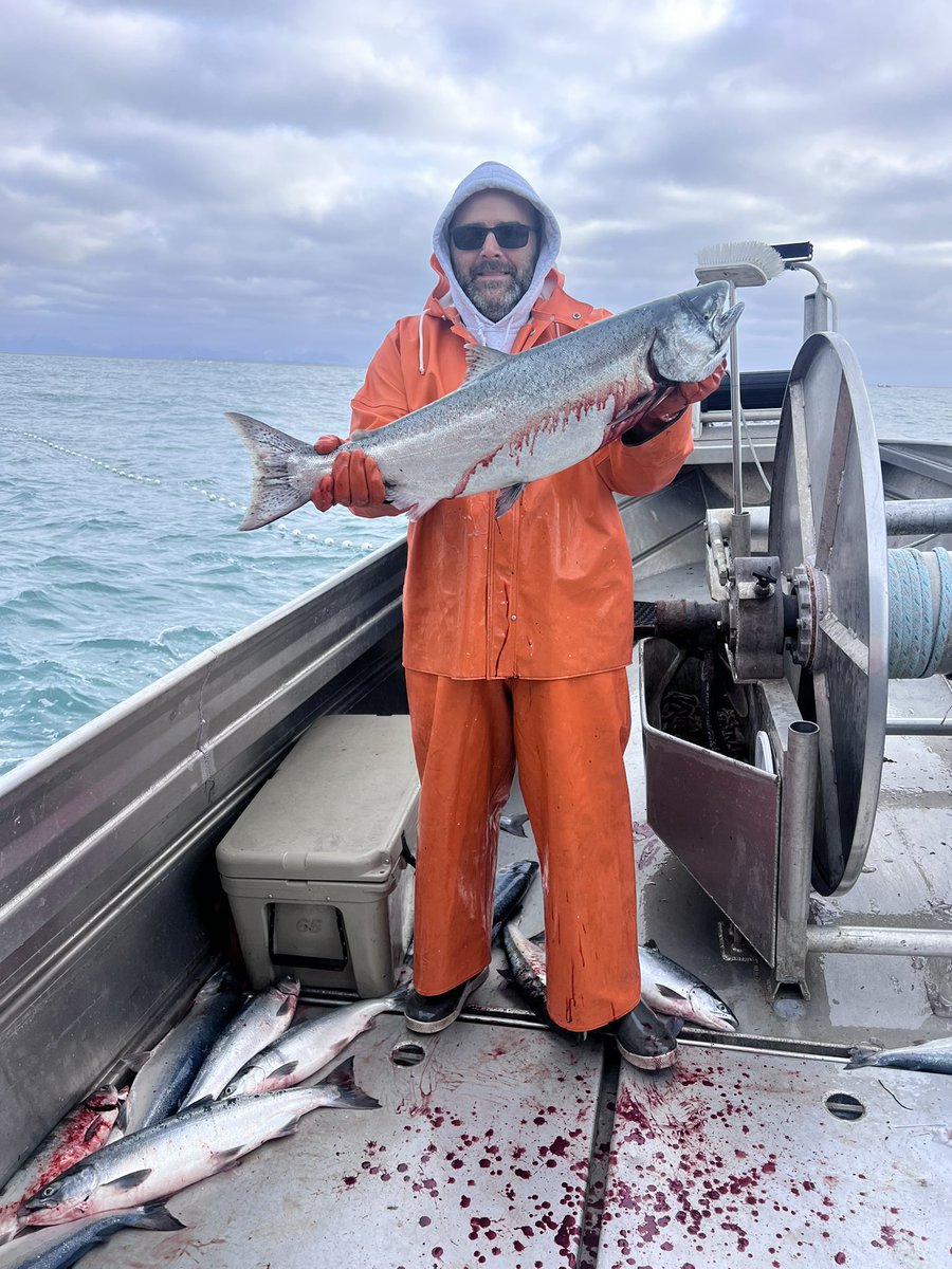 Sleepybaysalmon tweet media