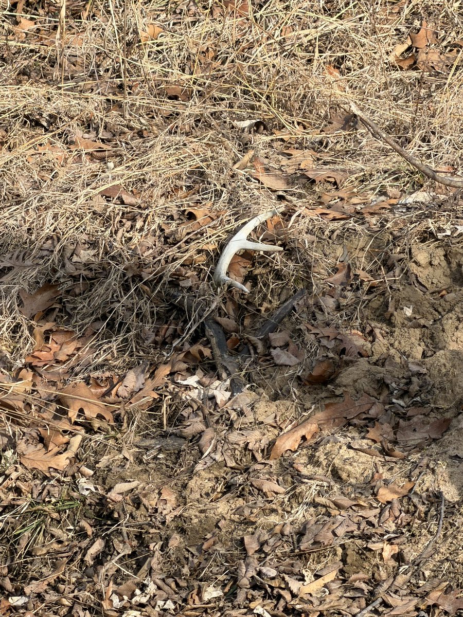 Dwayne Mathews tweet media