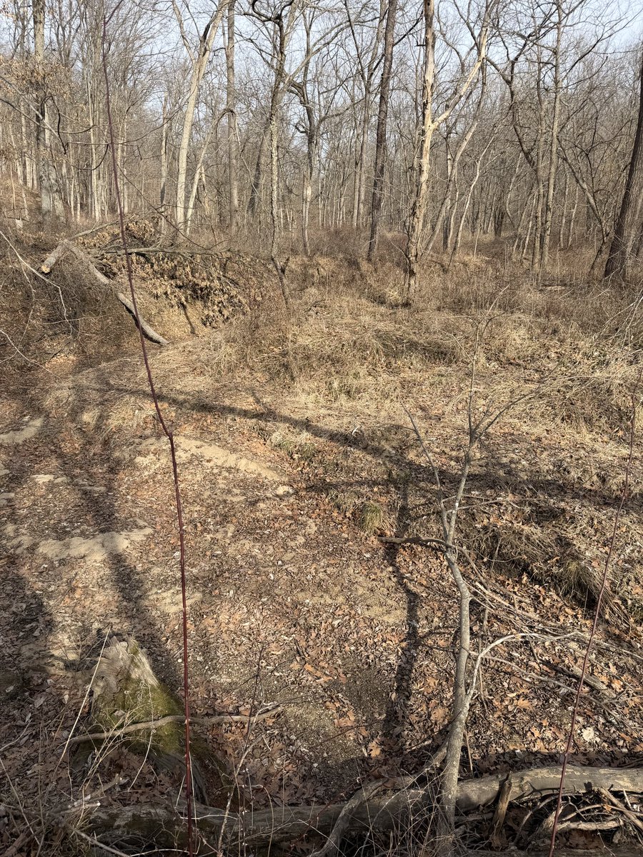 Dwayne Mathews tweet media