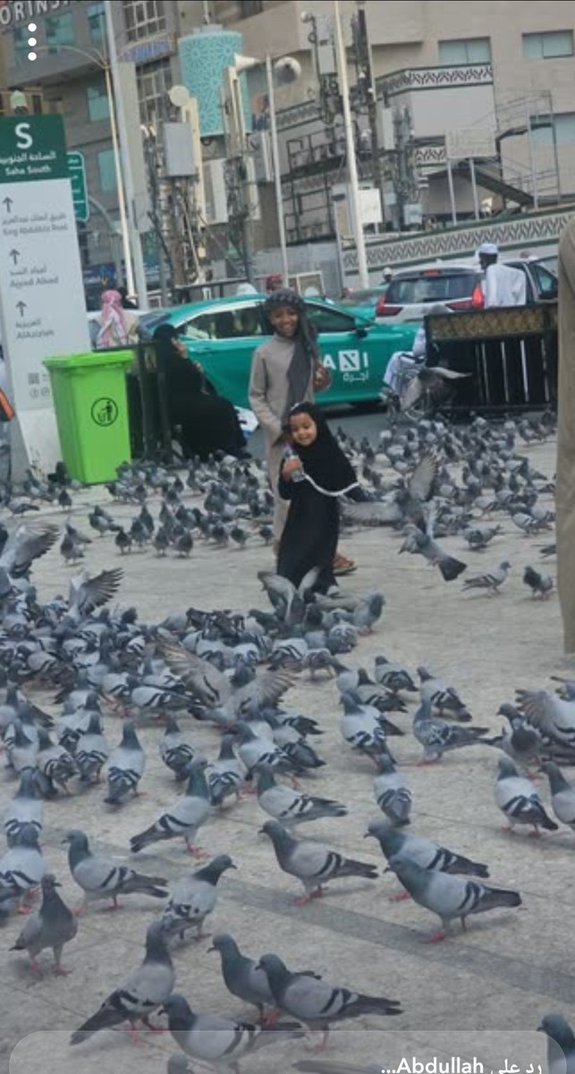 عبدالله بن ناصر الفرج tweet media