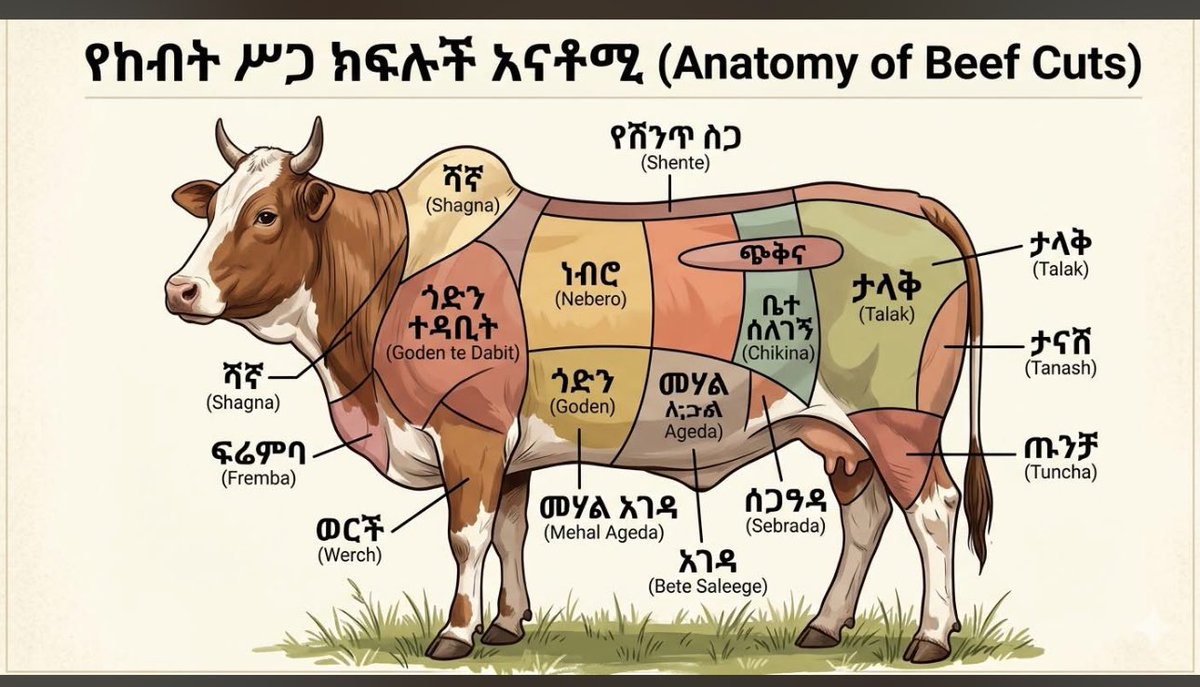 Abel Wabella ( ኃይለ ማርያም) tweet media