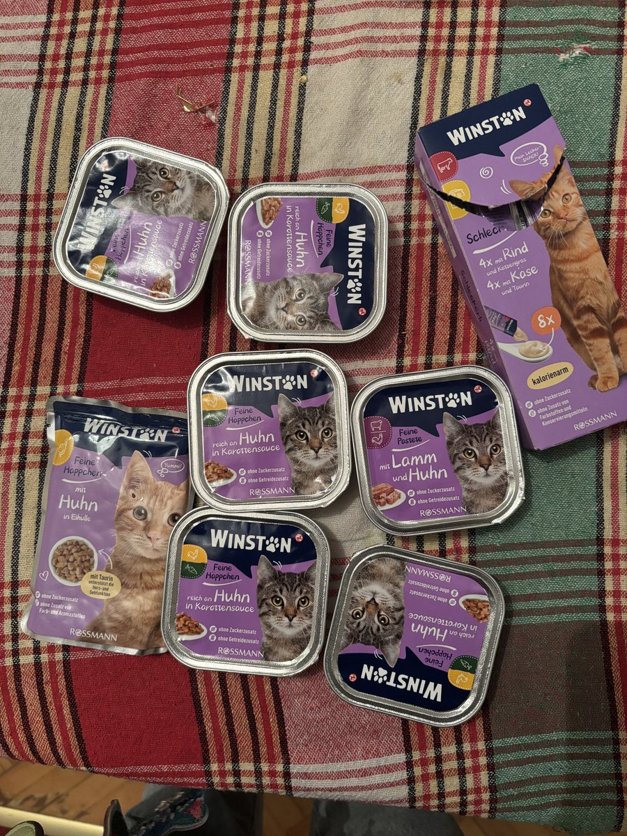 Parta Ellacott🦇 tweet media